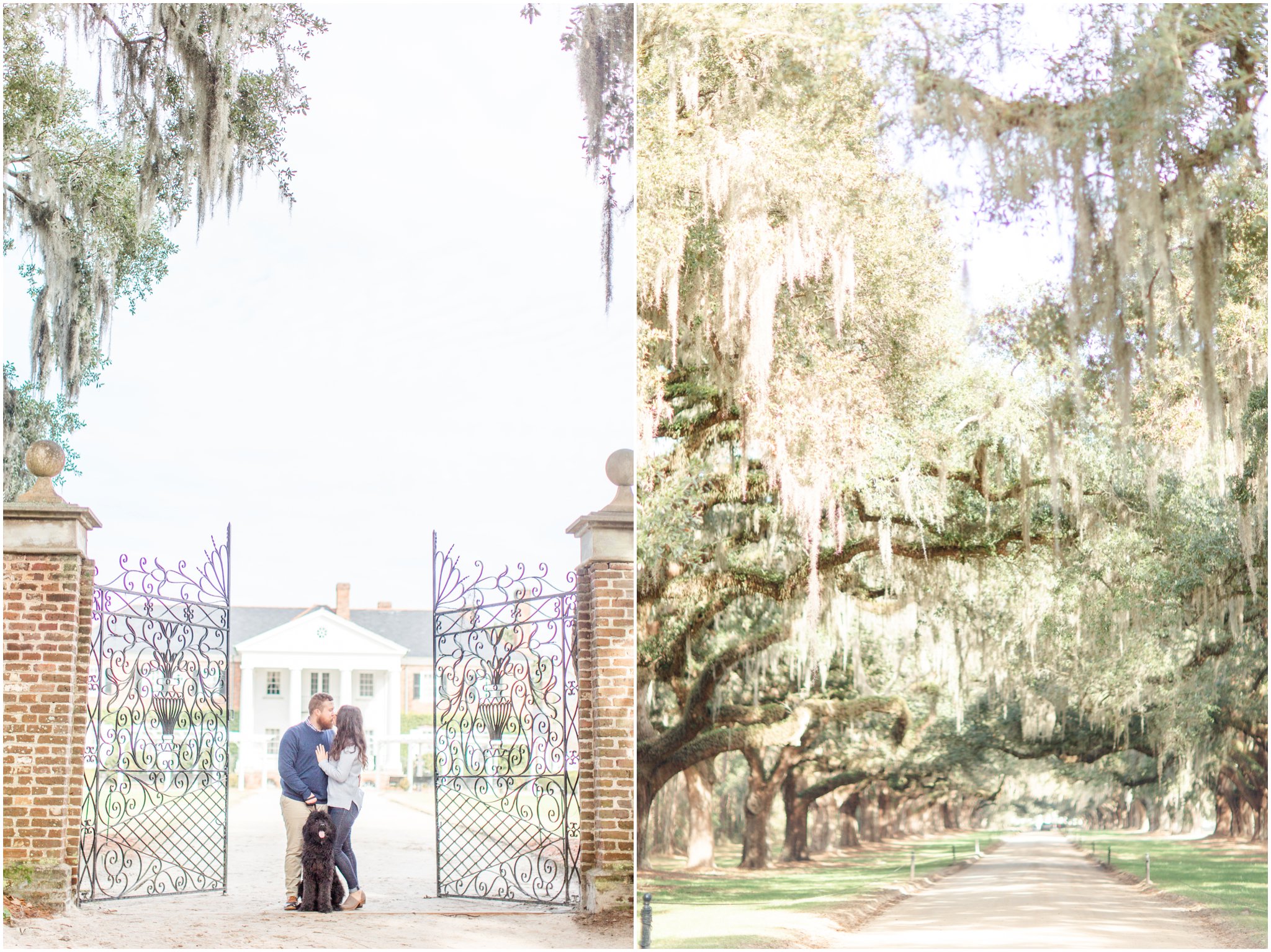 Boone Hall Plantation engagement session in Charleston, SC by Charleston wedding photographer Christa Rene Photography