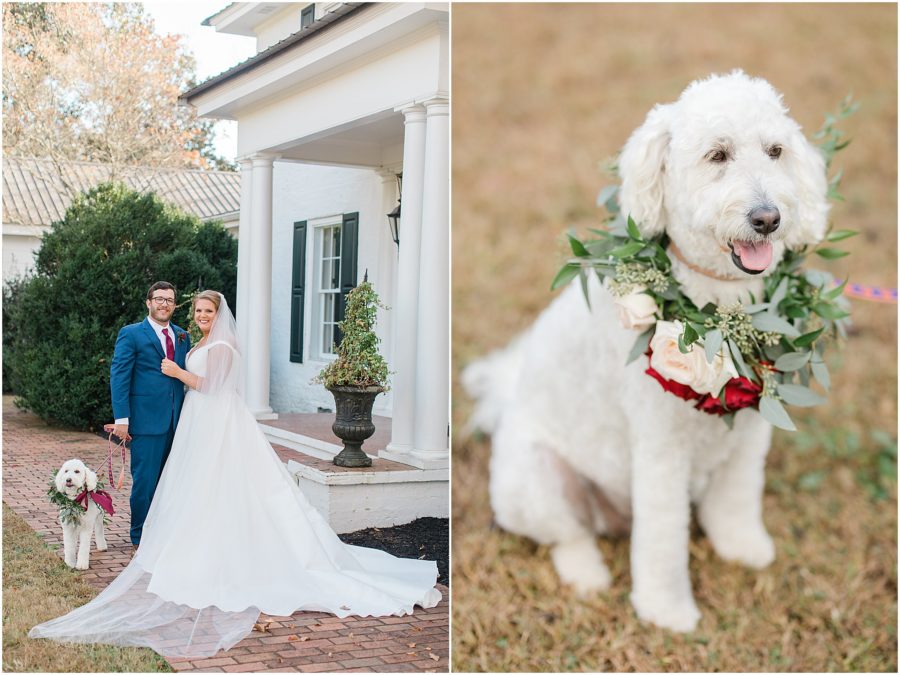 Classic outdoor wedding with Rolls Royce and dog at The Barn at Sitton Hill Farm by SC Wedding Photogapher Christa Rene Photography