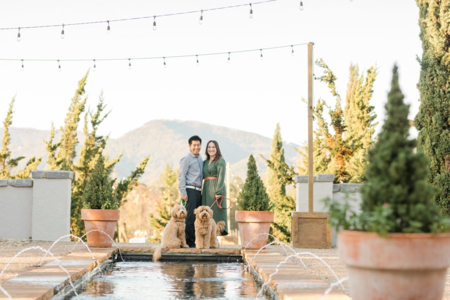 Hotel Domestique Mountain Engagement session with GoldenDoodles by Christa Rene Photography