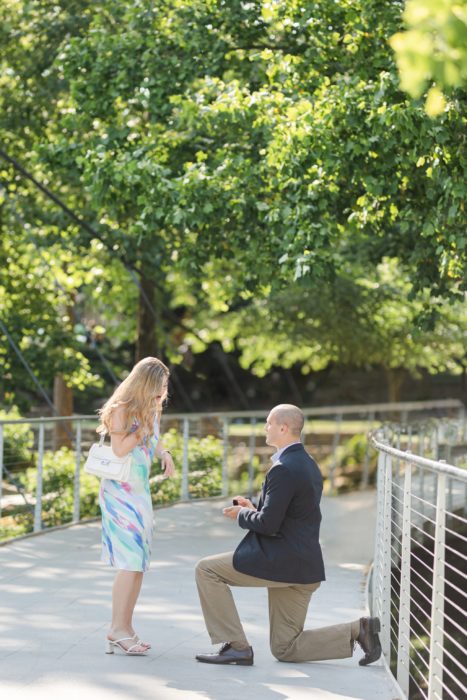 Greenville, SC Proposal Photography by Christa Rene Photography